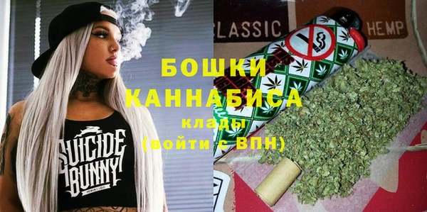 крисы Бородино