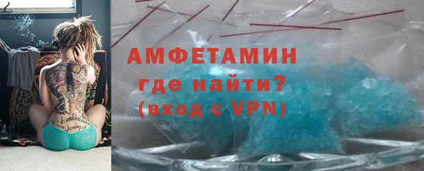 крисы Бородино