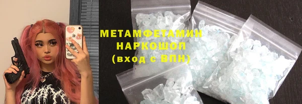 крисы Бородино