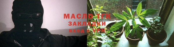 крисы Бородино