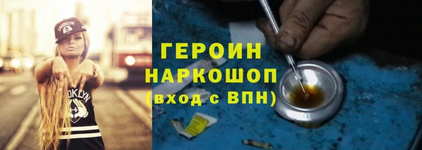 крисы Бородино