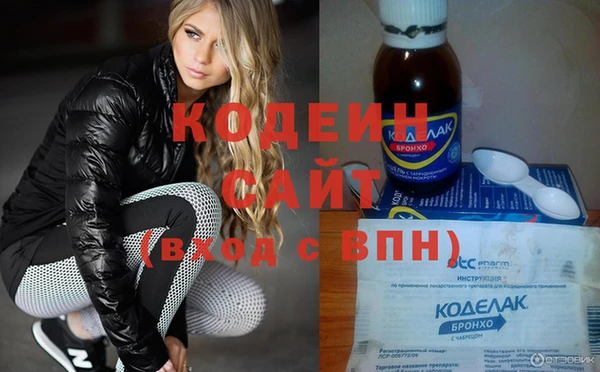 крисы Бородино