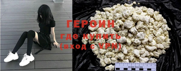 крисы Бородино