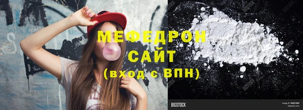 крисы Бородино