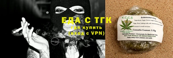 крисы Бородино