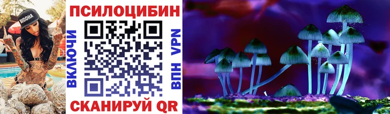 Купить  Удачный  Псилоцибиновые грибы Magic Shrooms 